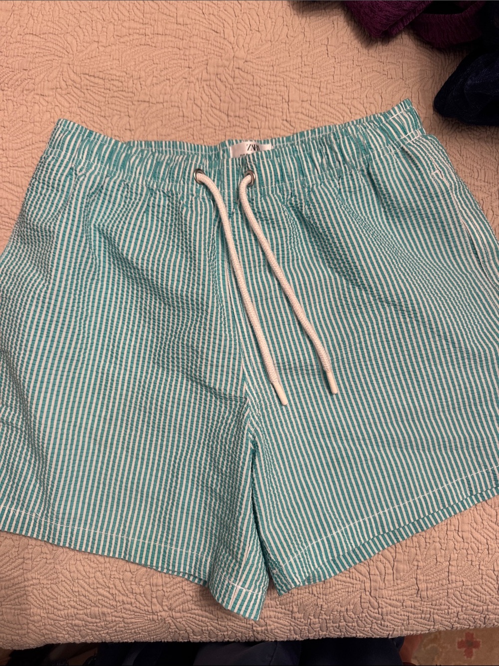 Zara Striped Teal Seersucker Drawstring Mens bathing suit